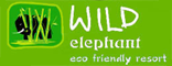Wild Elephant